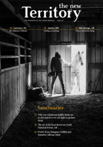 The New Territory Magazine - Issue 07 " Sanctuaries"