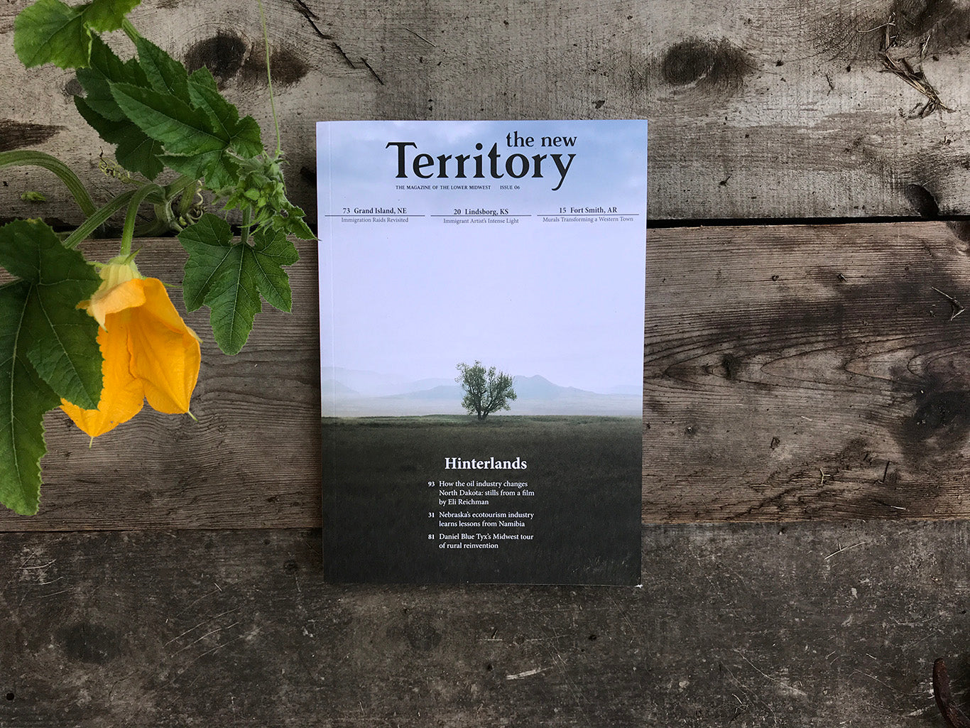 The New Territory  - Issue 06 "Hinterlands"